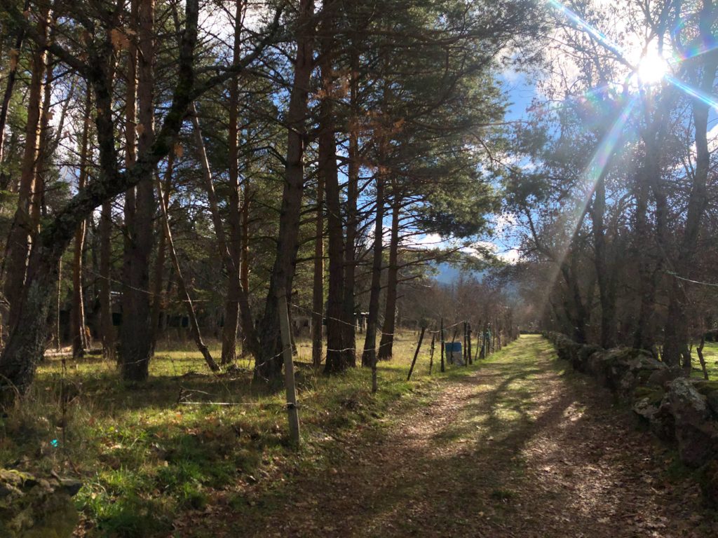 Guía básica para visitar Collado Hermoso en tu próxima escapada